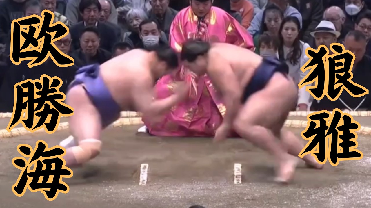 欧勝海VS狼雅 令和8年3月場所3日目（大阪場所） #sumo #相撲 #二子山部屋
