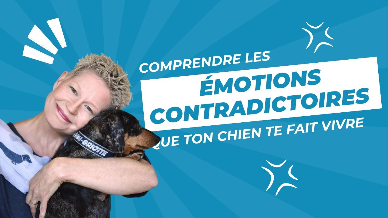 Comprendre les émotions contradictoires que ton chien te fait vivre