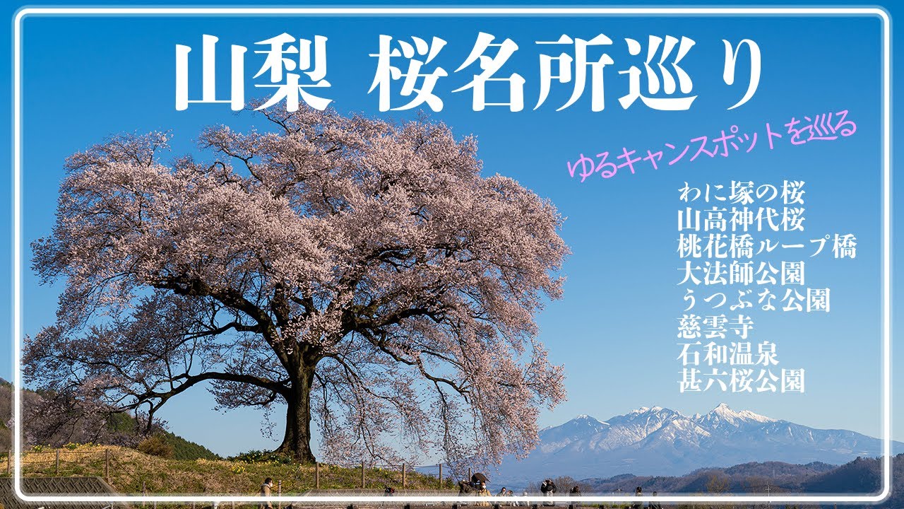 【桜名所ツアー】山梨の桜名所を訪ねて～ゆるキャンスポット+α～