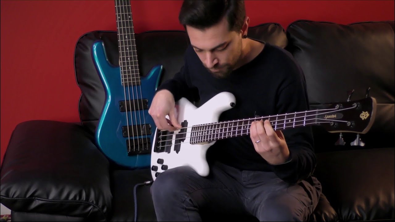 Spector | Il Basso Elettrico 4 Corde della serie Performer