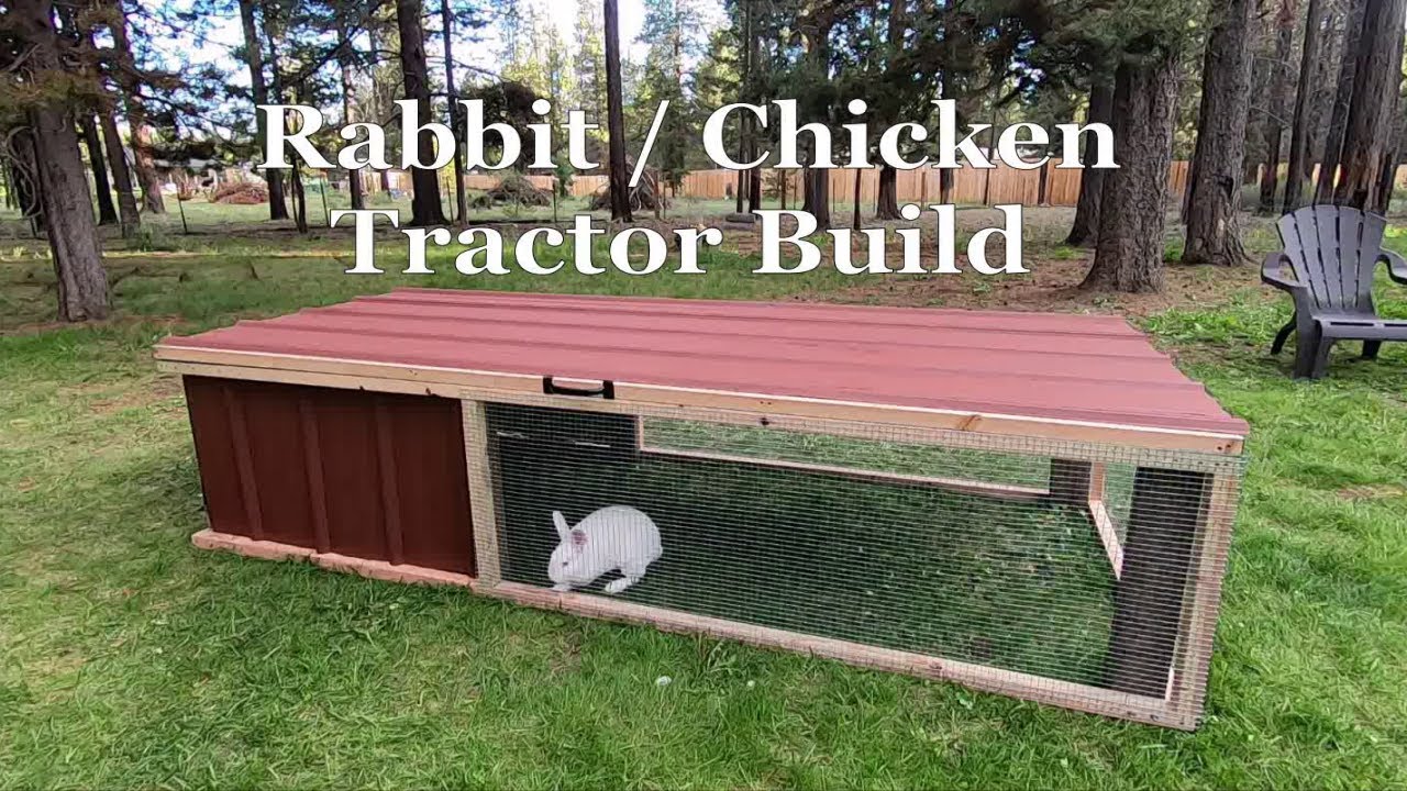 Rabbit Tractor