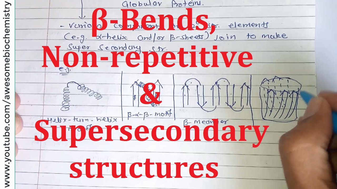 19. Beta bend, Non Repetitive & Supersecondary (Motif) Str | Secondary structure | NEET MBBS CSIR