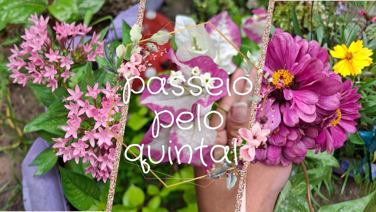 Um passeio pelo meu quintal 👀🌸