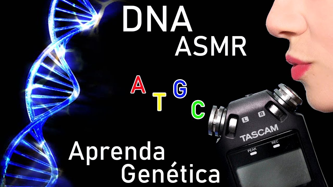 ASMR Biologia 🎧 Genética - DNA | Aprenda Relaxando | Whisper Binaural PT BR
