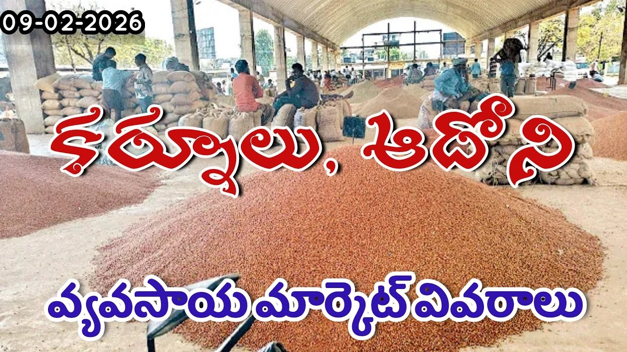 కర్నూలు, ఆదోని వ్యవసాయ మార్కెట్ వివరాలు 09-02-2026 #ఆదోని #వరంగల్ #ఎమ్మిగనూరు #కర్నూలు #వరంగల్