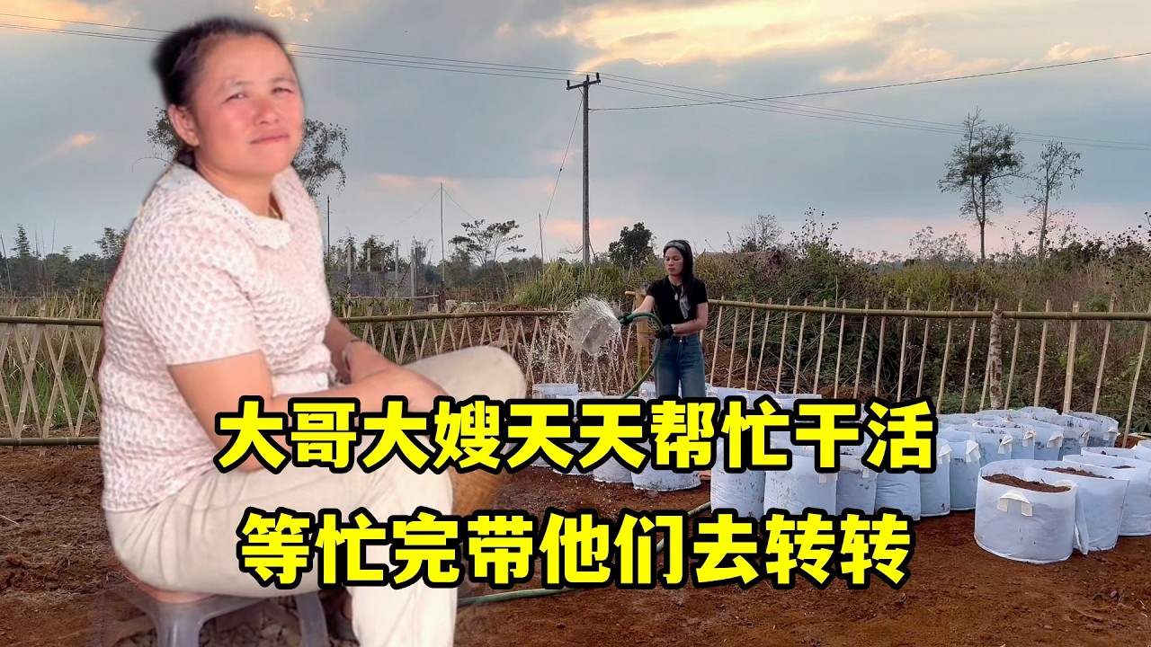 大哥大嫂天天幫忙工作，我繼續種菜忙不停，等忙完帶他們去轉轉！