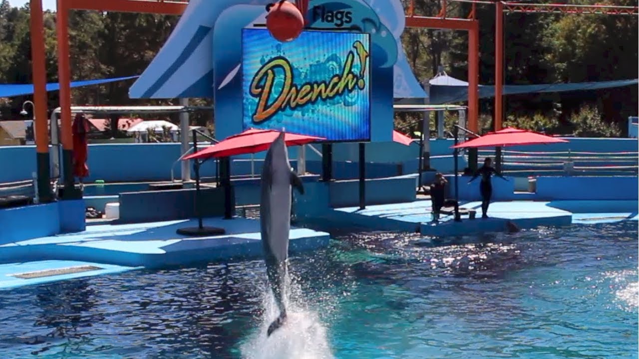 SIX FLAGS DISCOVERY KINGDOM!!! (THEME PARK)