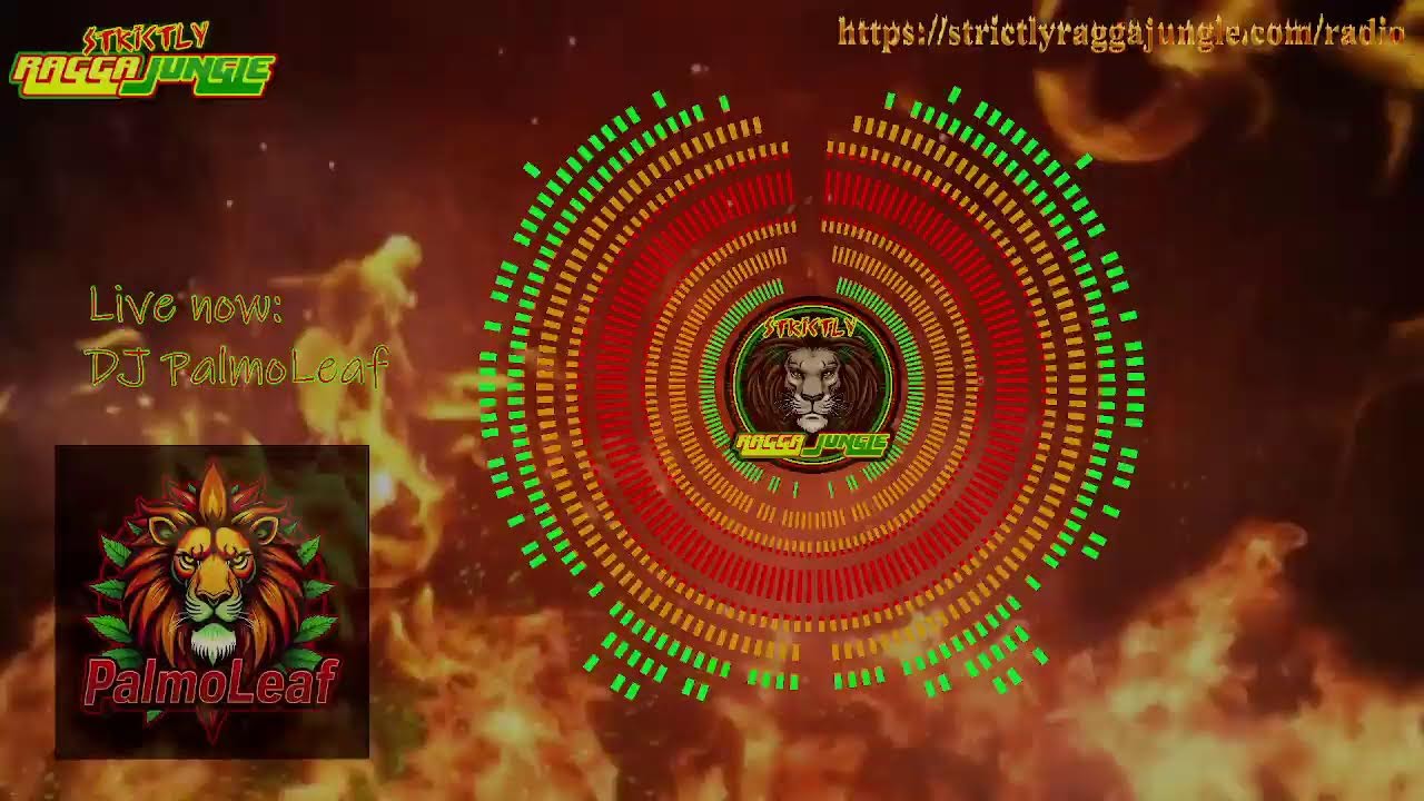 Live now: DJ PalmoLeaf