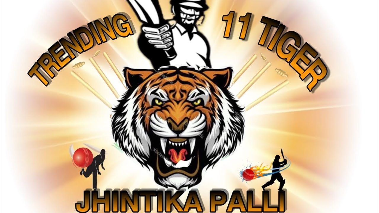 Organization by Haripur Jhintikapalli vs Ranipada Final Match JHINTIKAPALLI WIN 