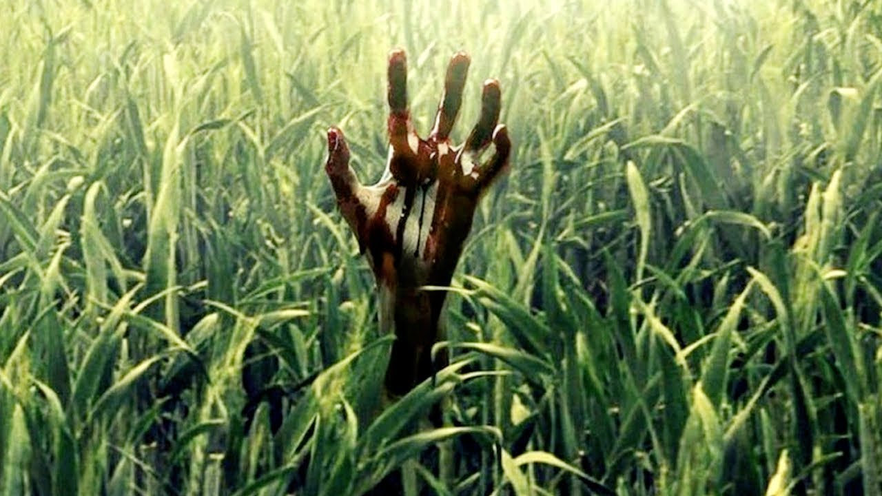 In the Tall Grass (2019) Movie Explained in Hindi