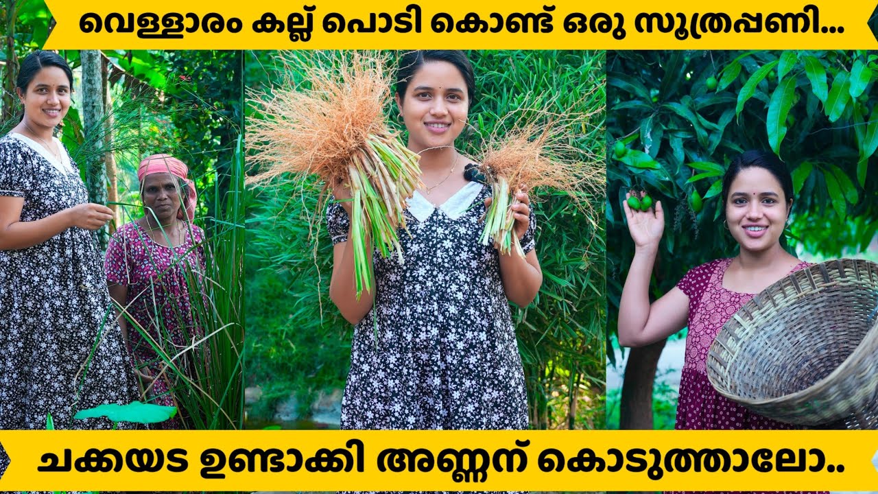 വെള്ളാരം കല്ല് പൊടി കൊണ്ട് ഒരു സൂത്രപ്പണി.../ @saranyasbeautyvlogs