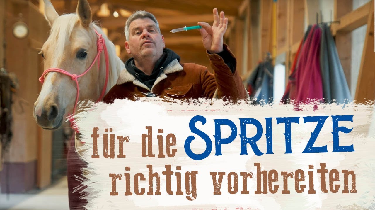 Spritzen geben | HORSEMAN HACK 🐎