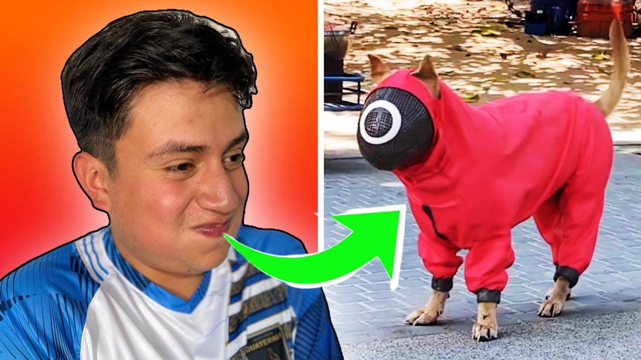 ¡Videos épicos que no creerás!