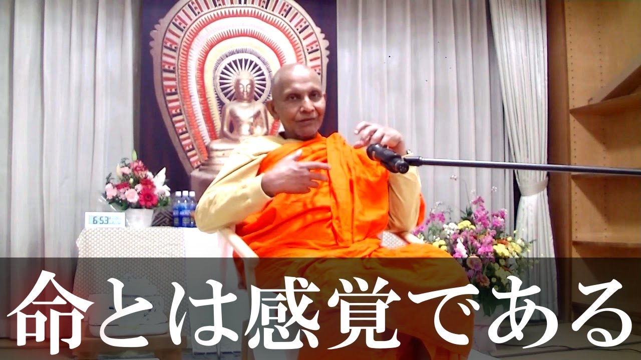 命とは感覚である｜スマナサーラ長老の初期仏教法話とQ&A 瞑想合宿編（24 Nov 2025 誓教寺仏道実践会） #jtba #仏教 #カルマ