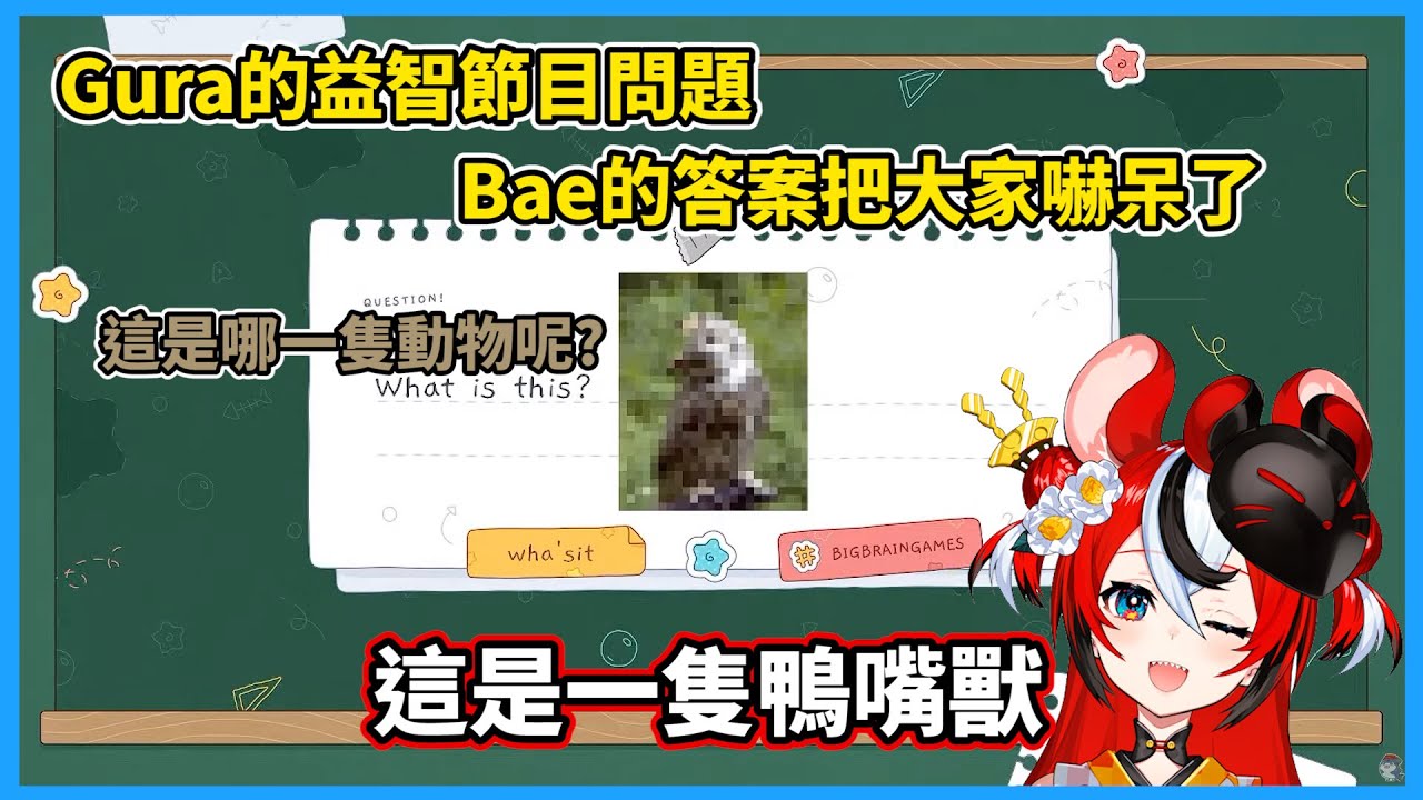 益智節目上的猜謎遊戲，結果Bae回答出大家都想不到的答案
