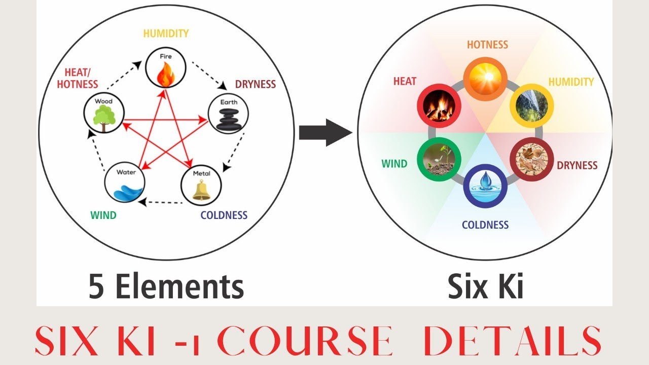 Six ki 1course | Sujok Therapy.   #sujok #sujoktherapy #sixki