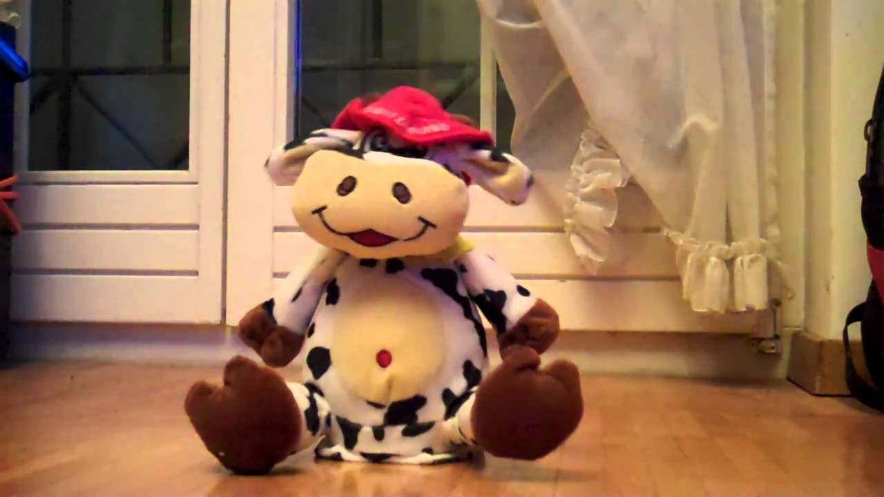 Crazy Swiss-Cow