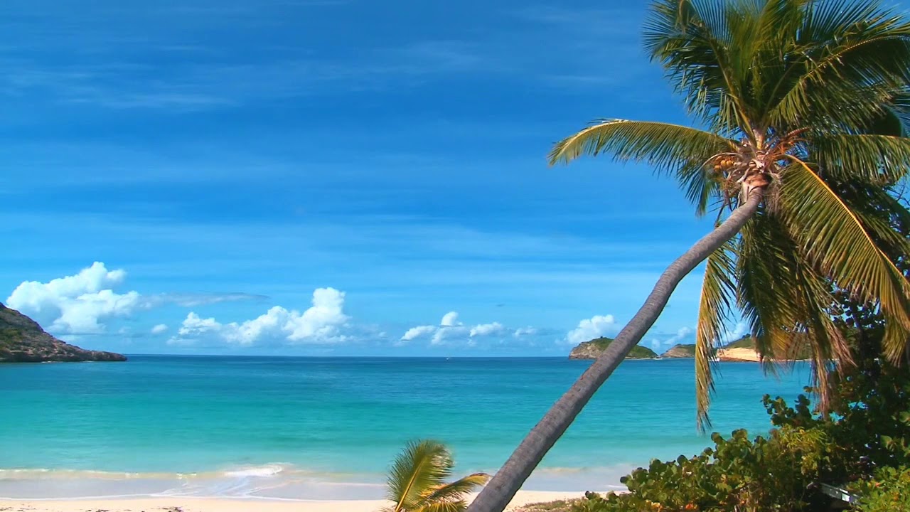 Tropical Beach Meditation for Sleep/Relaxation/Healing/Stress Relief Imagery: Vacation in Your Mind