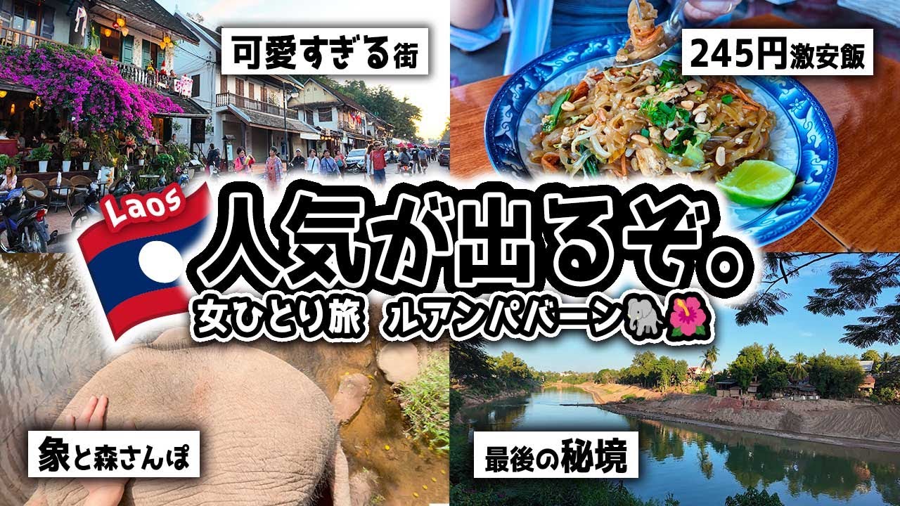 【女ひとり旅】東南アジア最後の秘境ラオス・ルアンパバーン🐘🌺象と森さんぽ＆245円激安飯