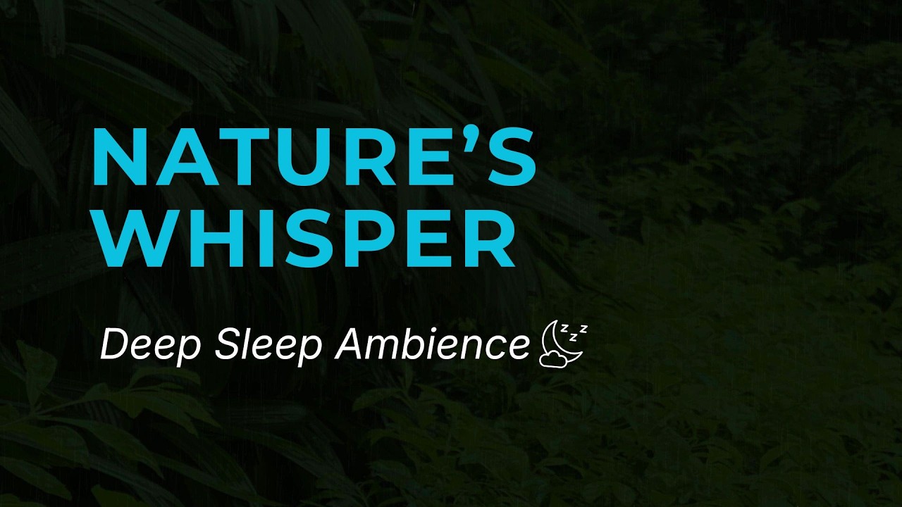 Nature’s Whisper Rain Sounds 🌧️ | Deep Forest Ambience For Instant Sleep & Stress Relief