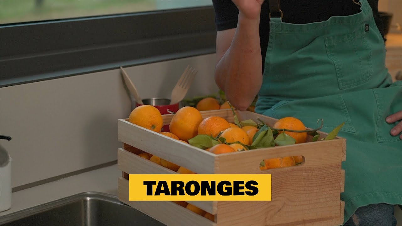 Taronges - Els consells d'en Santi Taura IB3