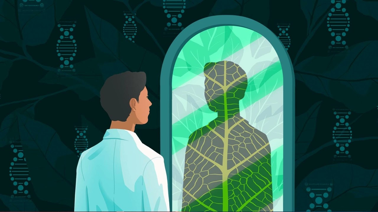 Joseph Swift says we're more like plants than we think