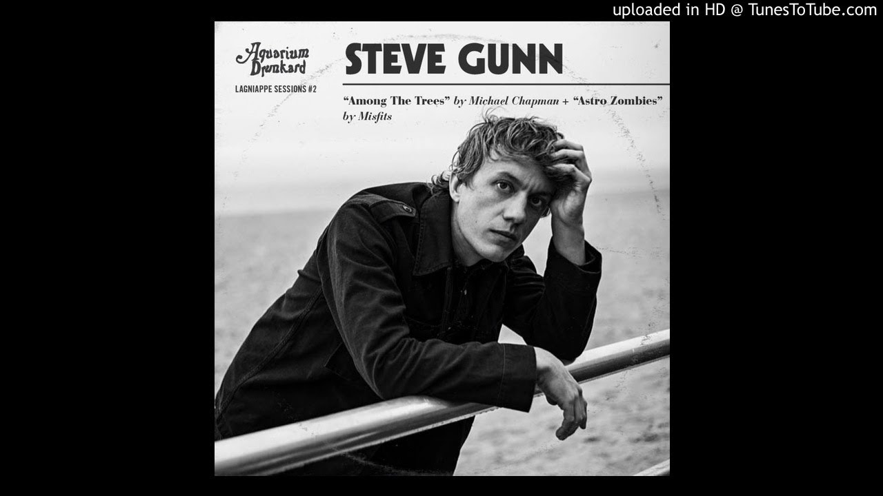 Steve Gunn - Astro Zombies (cover)