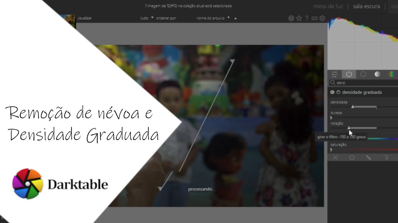 Curso de Darktable - Remoção de Névoa e Densidade Graduada (Aula 8)