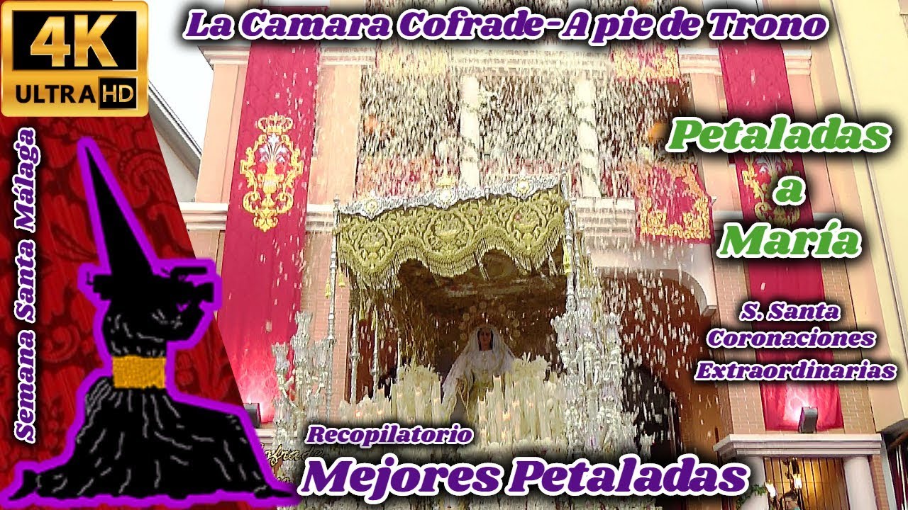 PETALADAS A MARÍA. RECOPILATORIO MEJORES PETALADAS. SEMANA SANTA MÁLAGA