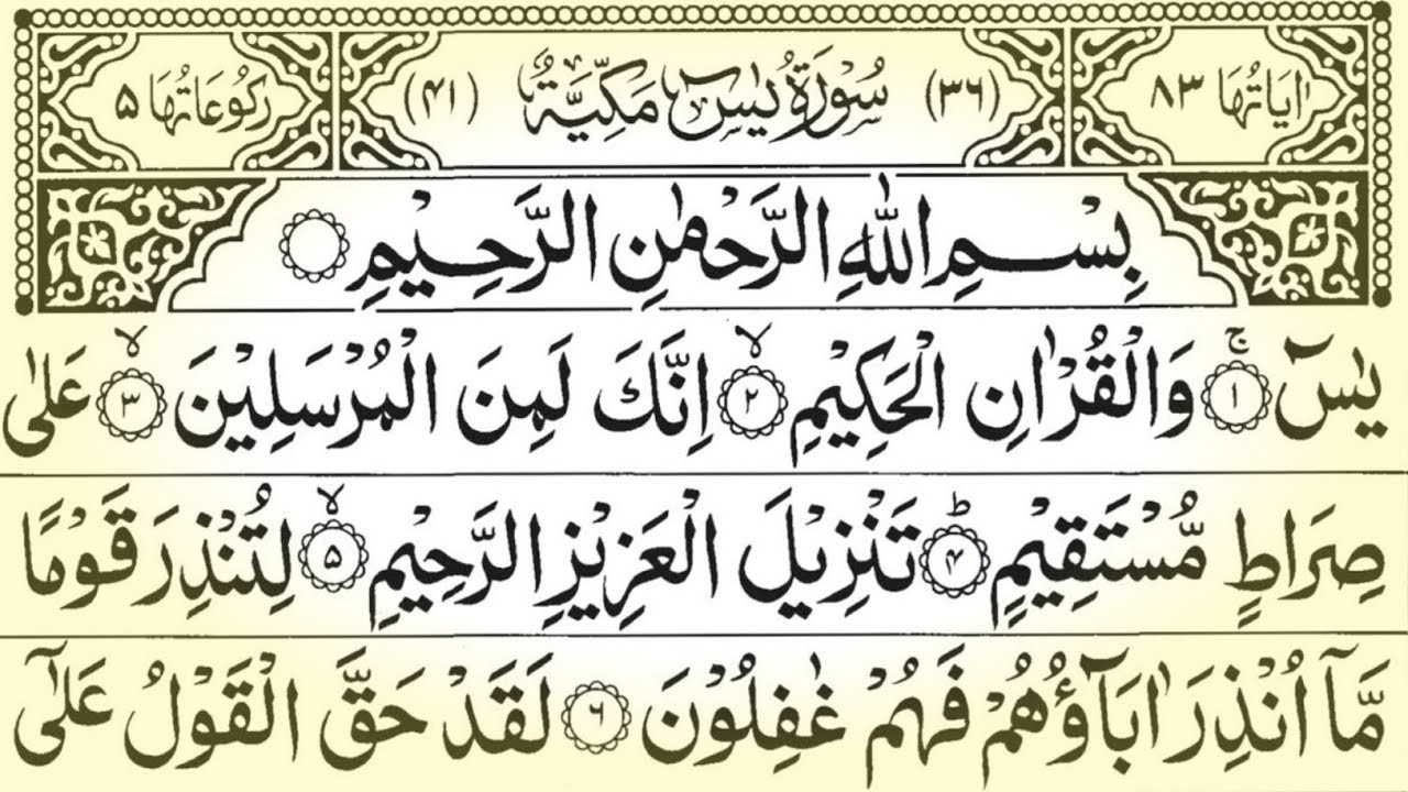 Surah Yaseen Beautiful Tilawat With Arabic Text 🕌 Surah Rahman,Mulk, Ayatul Kursi, Qur'an🎁Vol.793