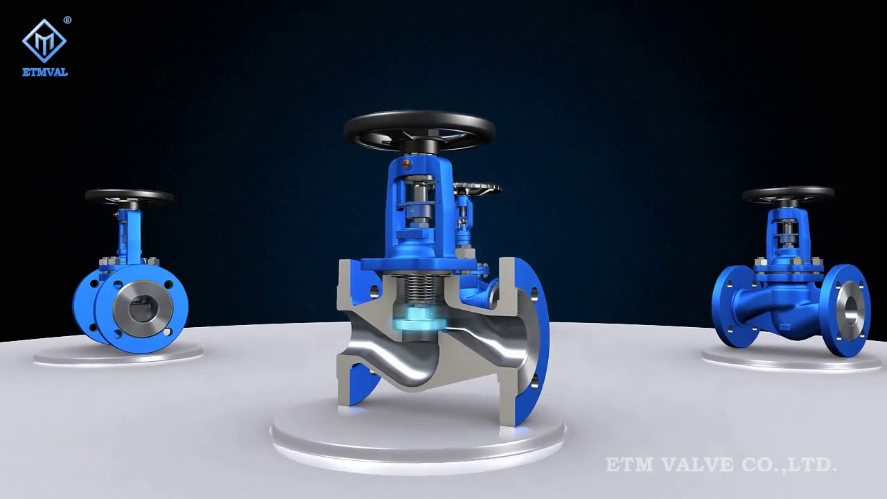 ETM DIN Bellows Globe Valve 1