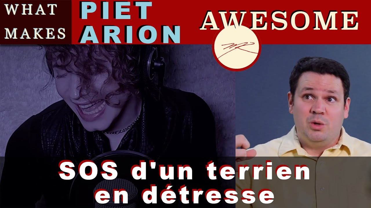 What Makes Piet Arion S.O.S d'un terrien en détresse AWESOME? Dr. Marc Reaction & Analysis