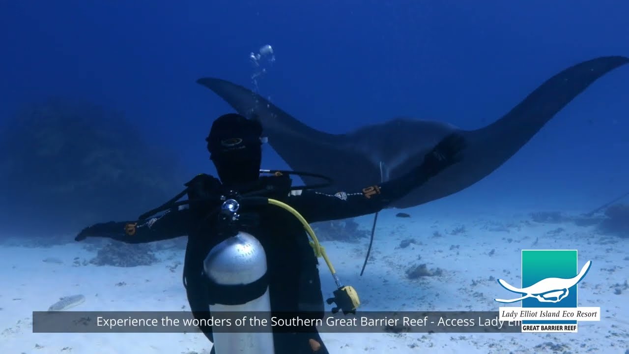 Lady Elliot Island Eco Resort Promo Video 2023