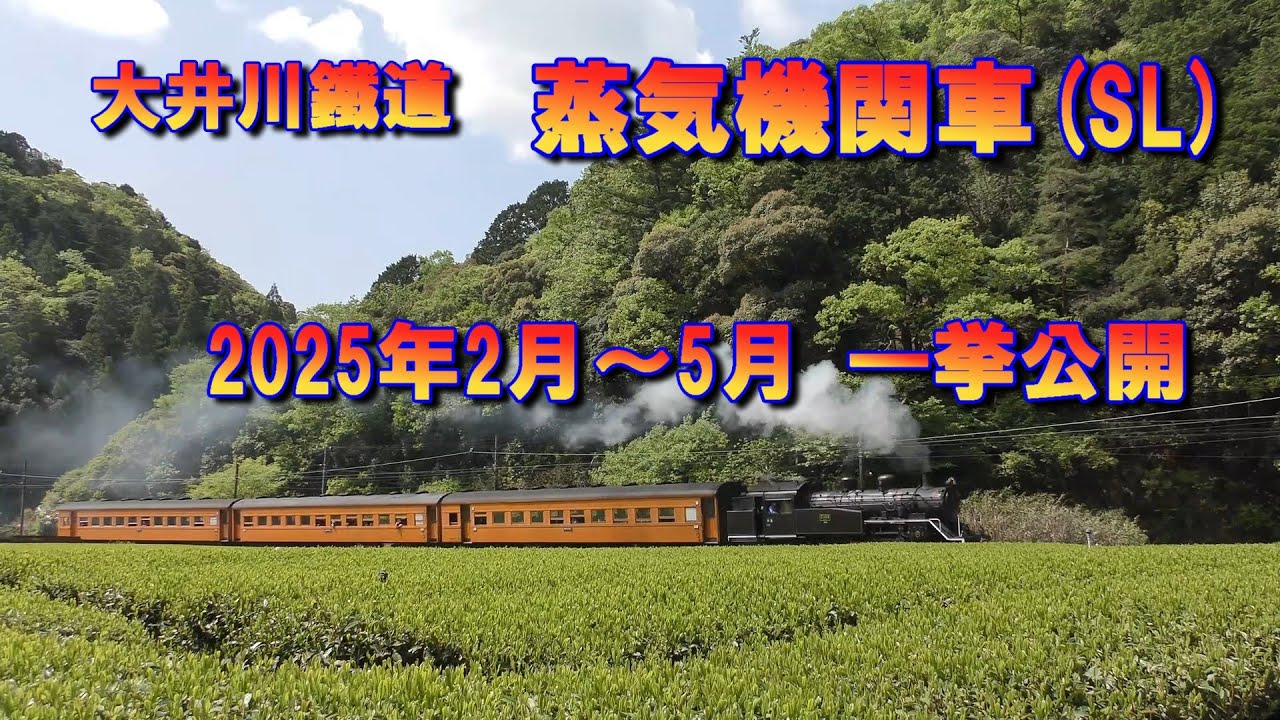 大井川鉄道・蒸気機関車－2025年2月～5月 一挙公開/Japanese Local Railway, Steam locomotives from February to May 2025.