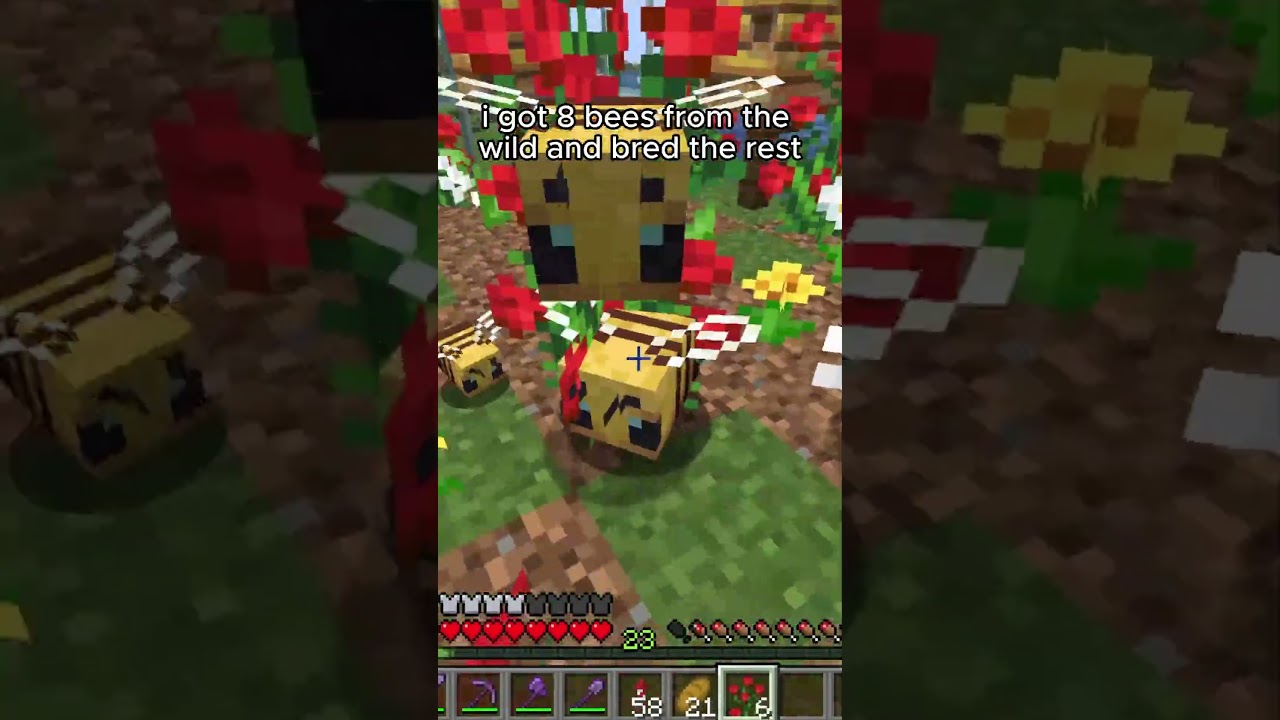 day 14 of doing what the top comment says 