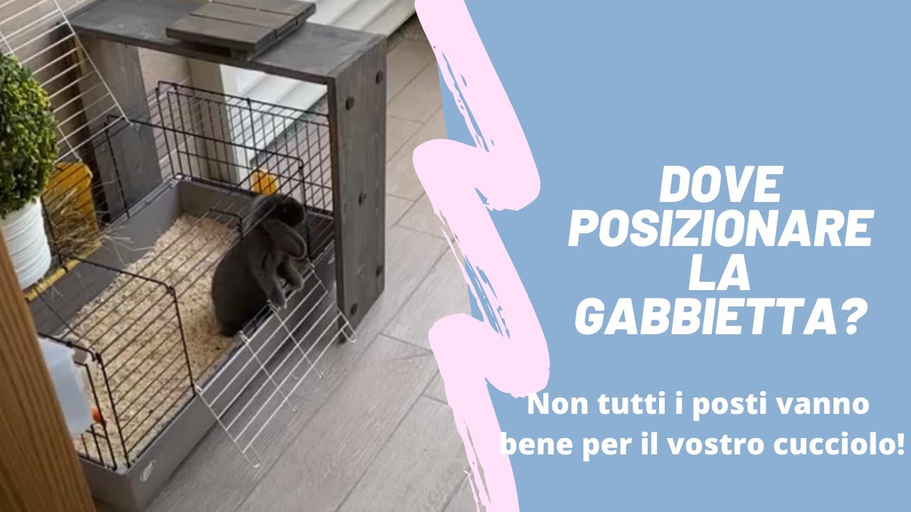 TUTORIAL: Dove posizionare la gabbia del coniglio?