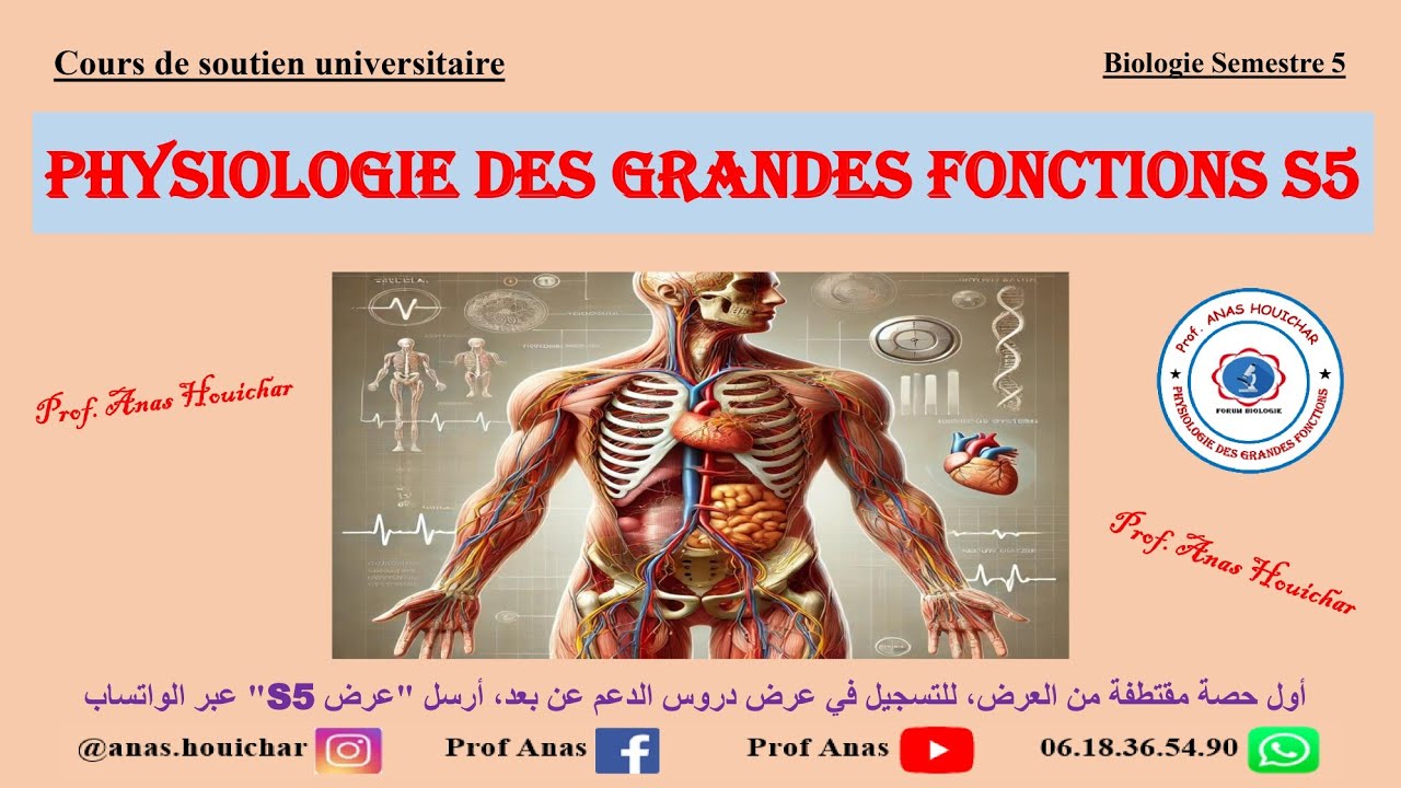 Physiologie des Grandes Fonctions S5 / Chapitre I : Système Cardiovasculaire (Part 1) شرح بالدارجة 