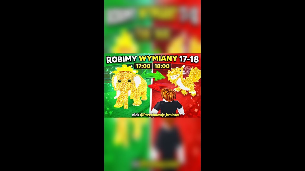 wymiany z widzami
