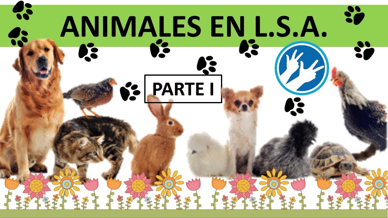 Animales en LSA - Parte I - Lengua de Señas Argentina