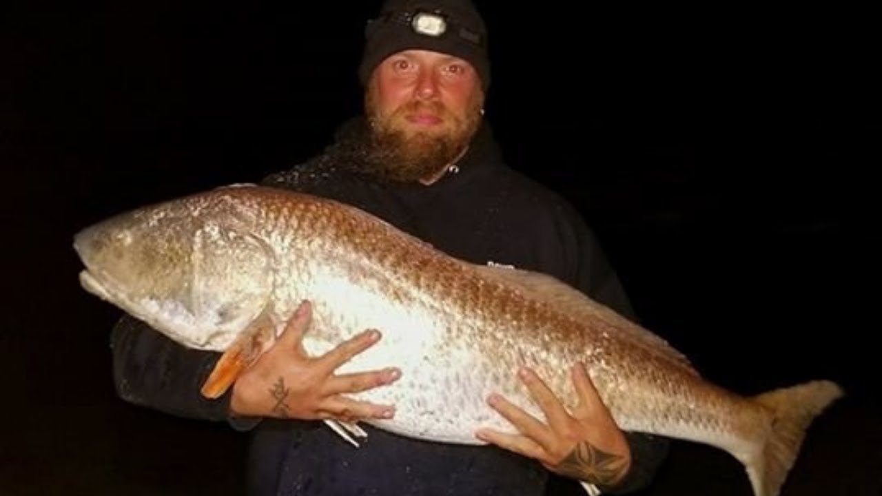 Big REDFISH on 15LB Beyond Braid Blue Camo!! Caught by the Lawless Tide