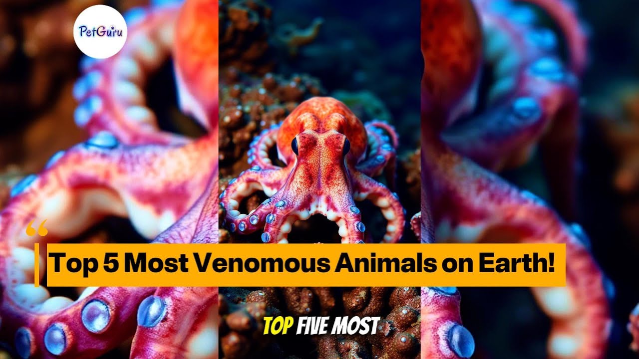 Top 5 Most Venomous Animals on Planet Earth Ranked ☠️🌍🦂 