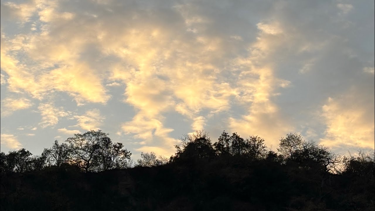 Rohtak to Rishikesh vlog day - 1 #vlog #dailyvlog #rishikesh #uttarakhand 