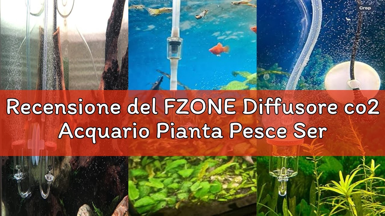 Recensione del FZONE Diffusore co2 Acquario Pianta Pesce Serbatoio (S)