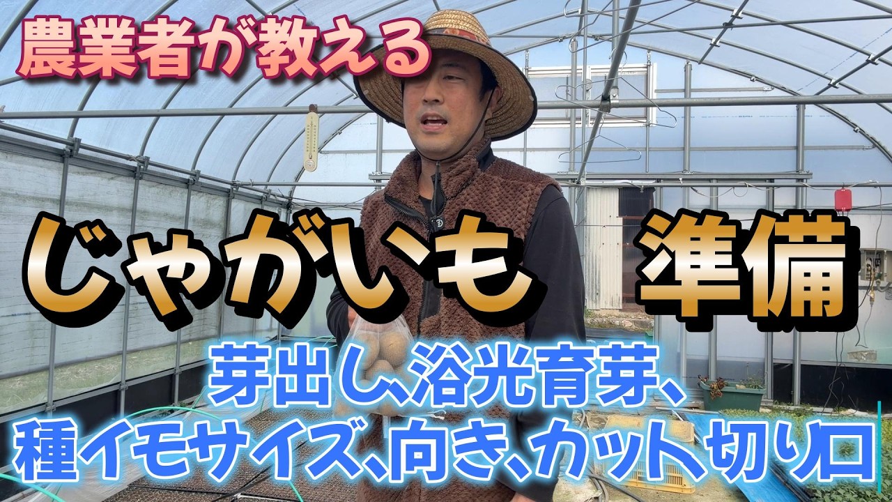 沢山とれるジャガイモの準備　これで脱初心者
