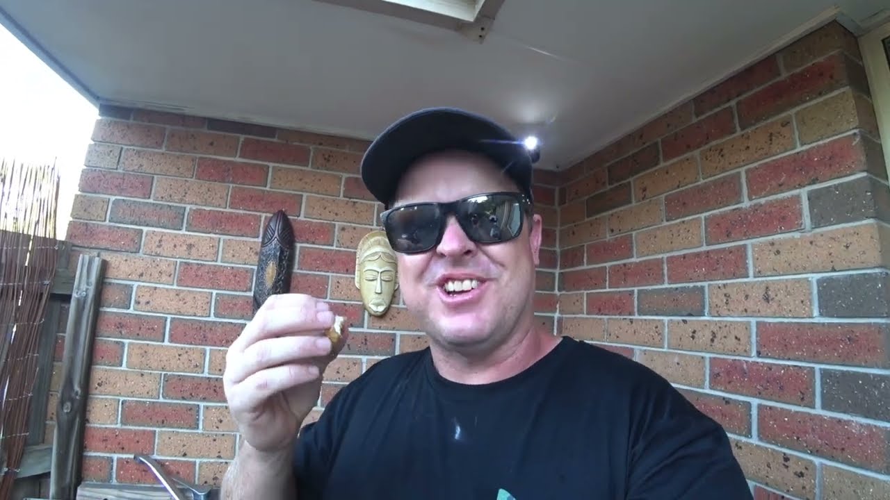 Eating the worst species - Catfish Cookup