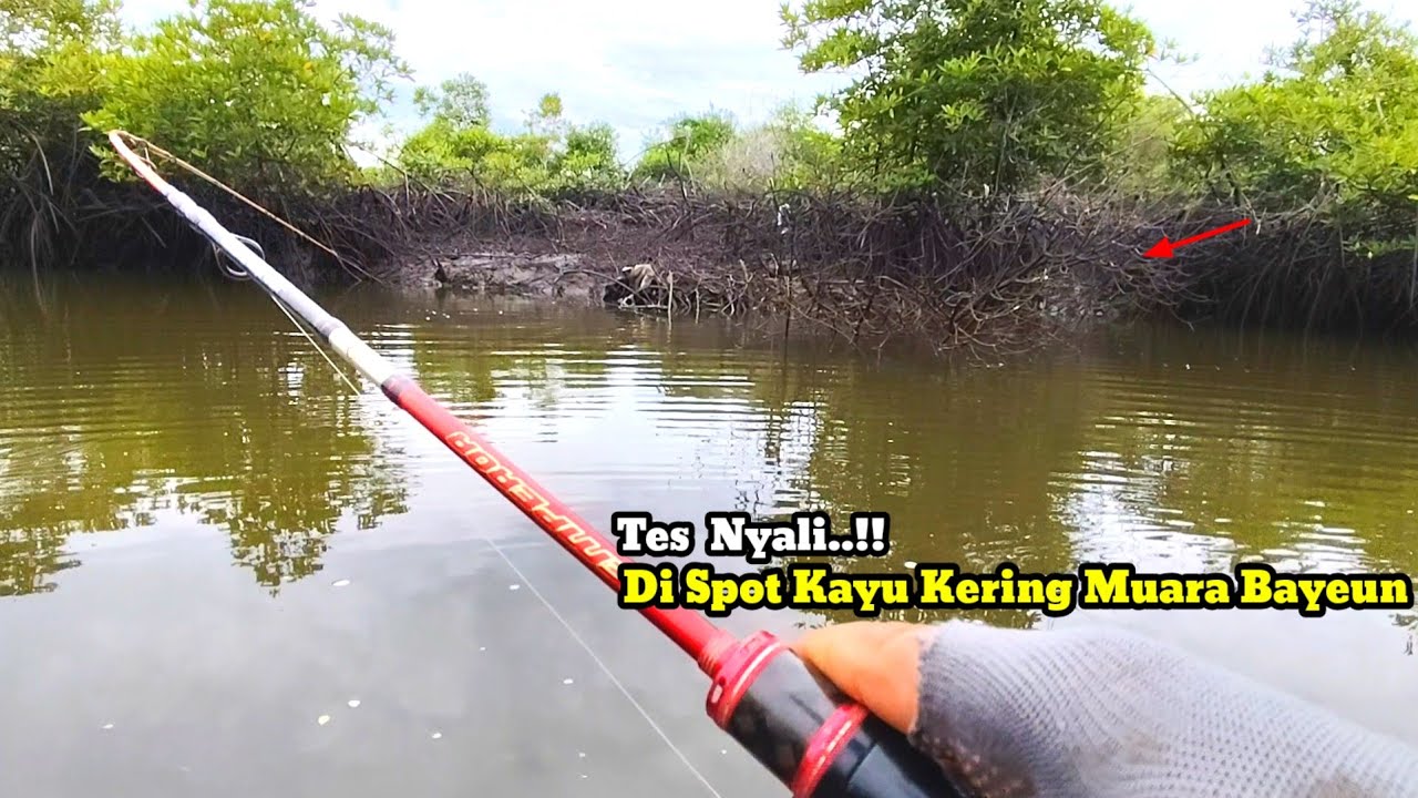 Tes Nyali Di Spot Kayu Kering..!! Kalau Gak Kuat Jangan Di Coba