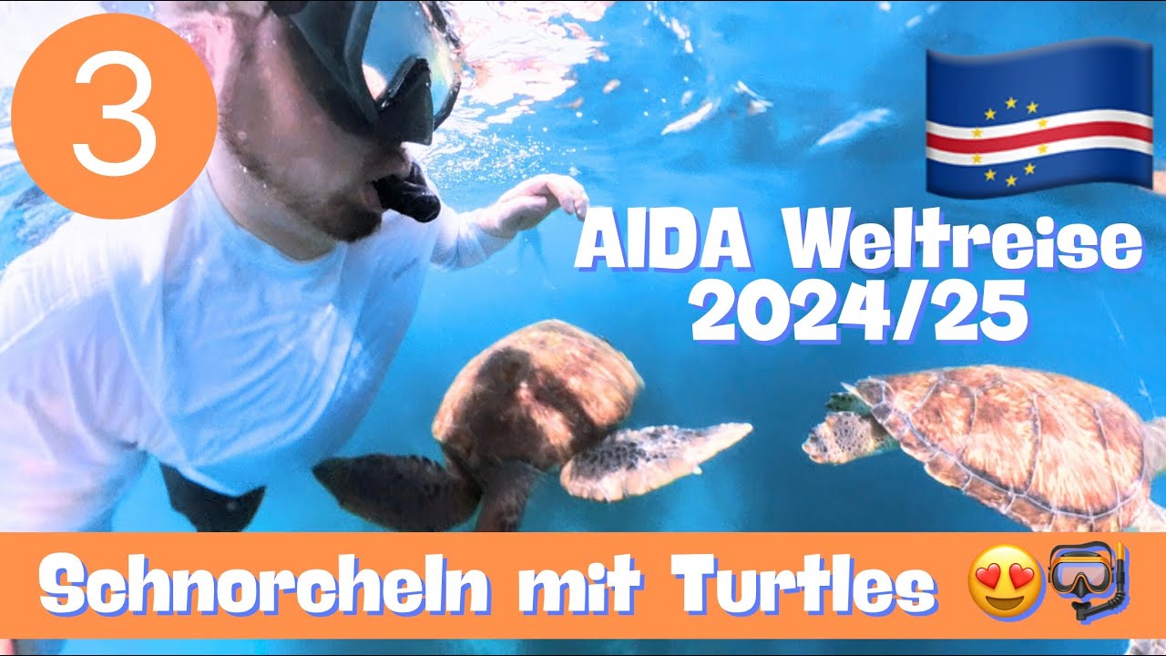 Mindelo 🇨🇻 Turtle-Tauchen 🤿😍 | AIDA Weltreise 2024/25