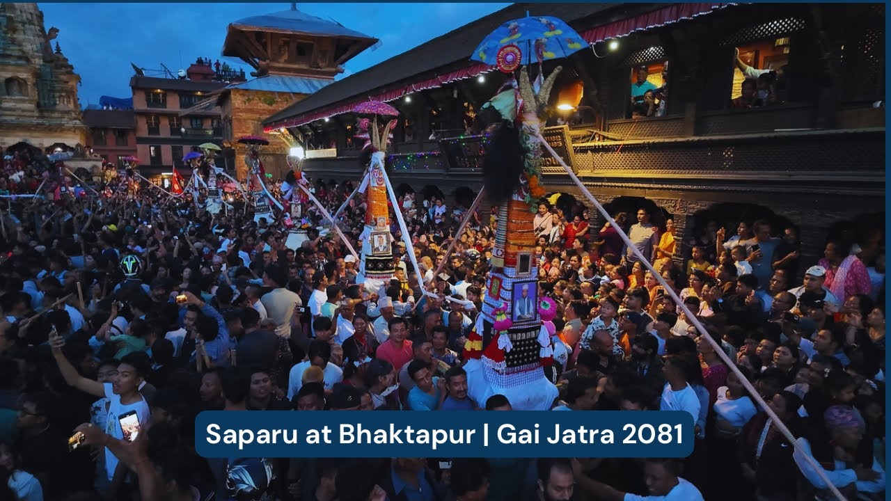 Bhaktapur ma Saparu 2081 | Gai Jatra 2081 Bhatkapur | Ghintang Ghisi Twak #hamroNepalHamroSanskriti