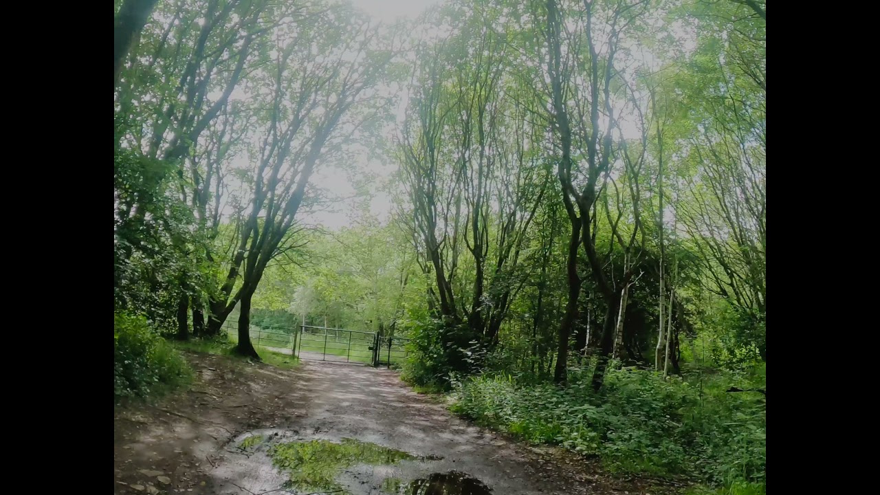 Timewarp 3.0 GoPro Hero 9