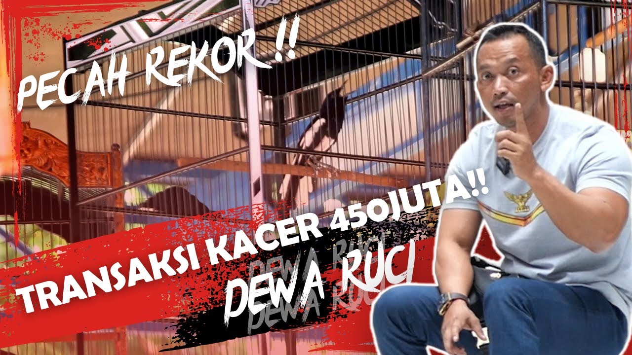 REKOR BARU‼️ KACER DEWA RUCI VS THE ZARROT, DEAL OR NO DEAL!? || PRIO EXCELLENT VLOG